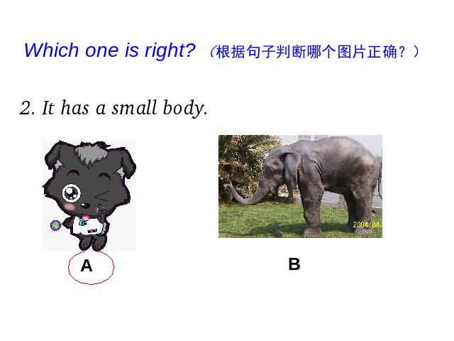 三年级下册英语(PEP版)PEP英语《Unit 3：At the zoo第四课时》下载()第10页