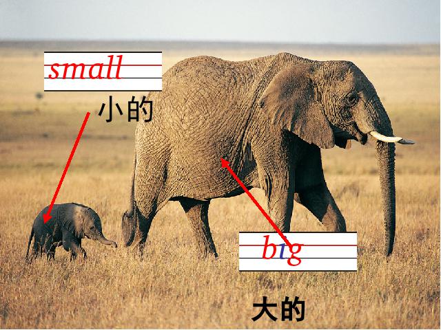 三年级下册英语(PEP版)PEP英语《Unit 3：At the zoo第四课时》下第6页