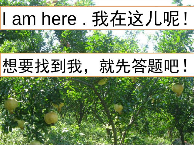 三年级下册英语(PEP版)《Unit5 Do you like pears》英语第7页