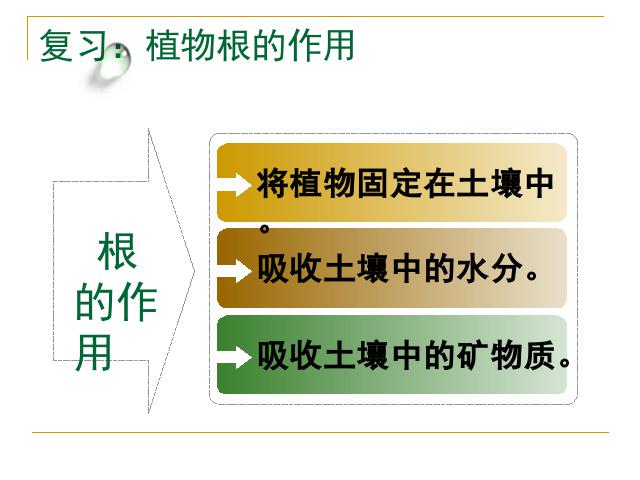 三年级下册科学第一单元《1.4.种子变成了幼苗》(科学第1页