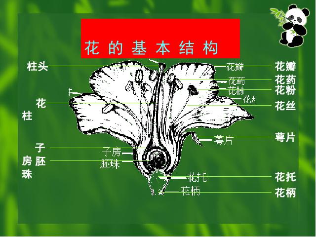 三年级下册科学科学第一单元《1.6开花了，结果了》下第4页