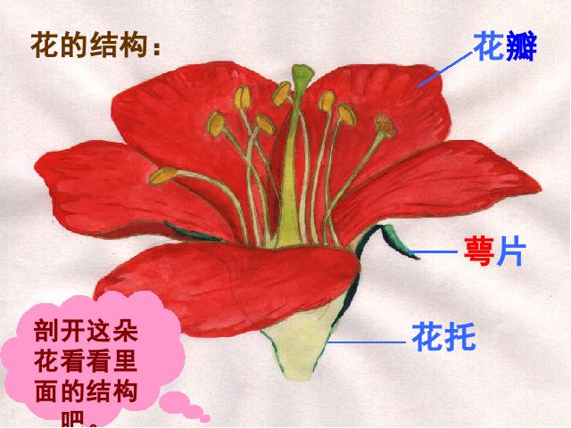 三年级下册科学第一单元《1.6开花了，结果了》(科学)第5页