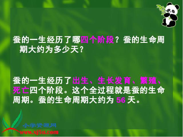 三年级下册科学科学第二单元《2.5蚕的生命周期》第8页