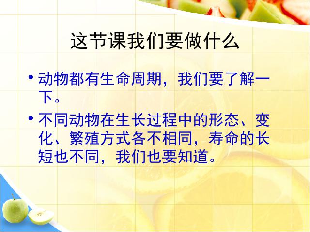 三年级下册科学科学《2.6其他动物的生命周期》第2页