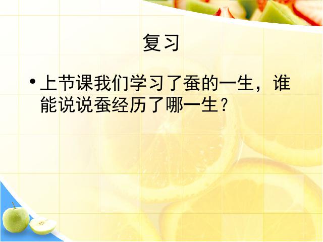 三年级下册科学科学《2.6其他动物的生命周期》第3页