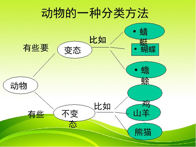 三年级下册科学《2.6其他动物的生命周期》(科学)第10页