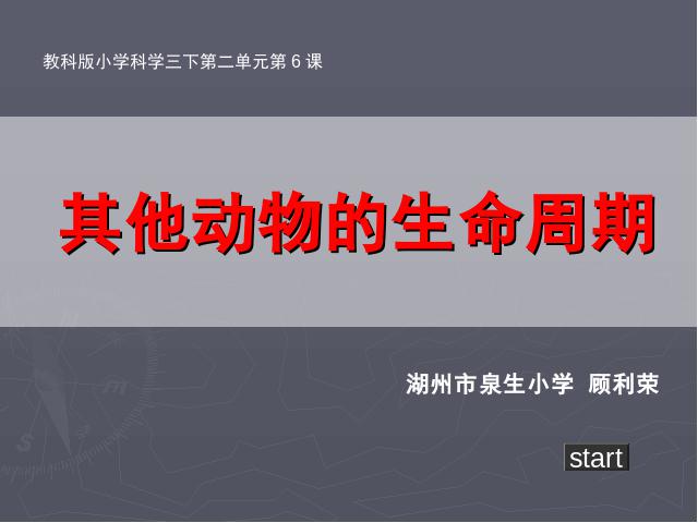 三年级下册科学科学《2.6其他动物的生命周期》第1页