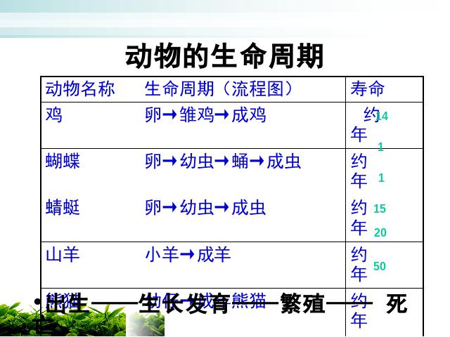 三年级下册科学科学第二单元《2.6其他动物的生命周期》（）第6页