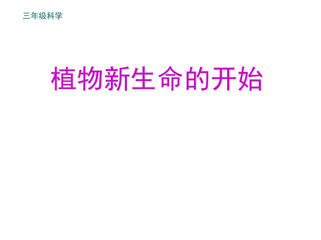 三年级下册科学教科版科学《植物的生长变化》复习第1页