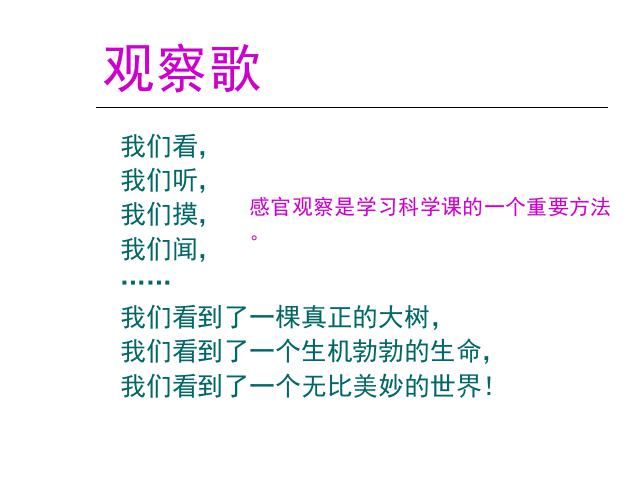 三年级下册科学教科版科学《植物的生长变化》复习第2页