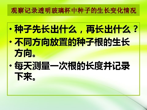 三年级下册科学（教科版）科学1.2种植我们的植物ppt教学课件第8页