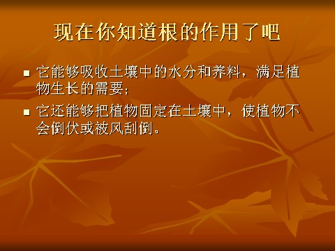 三年级下册科学（教科版）科学第一单元1.3我们先看到了根ppt课件（）第6页