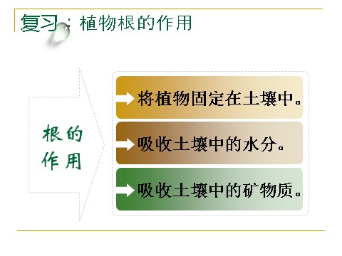 三年级下册科学（教科版）第一单元1.4.种子变成了幼苗ppt课件(科学第1页