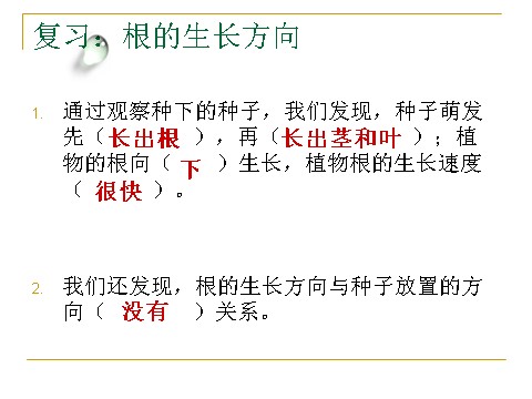 三年级下册科学（教科版）第一单元1.4.种子变成了幼苗ppt课件(科学第2页