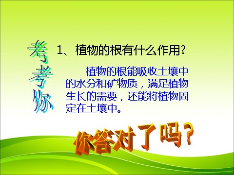 三年级下册科学（教科版）科学第一单元1.5茎越长越高ppt教学课件第1页