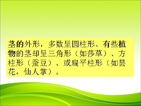 三年级下册科学（教科版）科学第一单元1.5茎越长越高ppt教学课件第10页