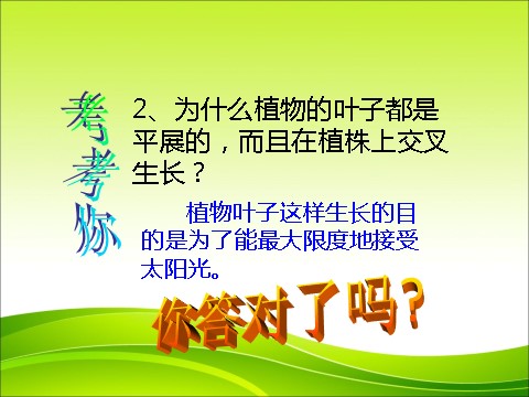 三年级下册科学（教科版）科学第一单元1.5茎越长越高ppt教学课件第2页