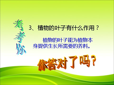 三年级下册科学（教科版）科学第一单元1.5茎越长越高ppt教学课件第3页