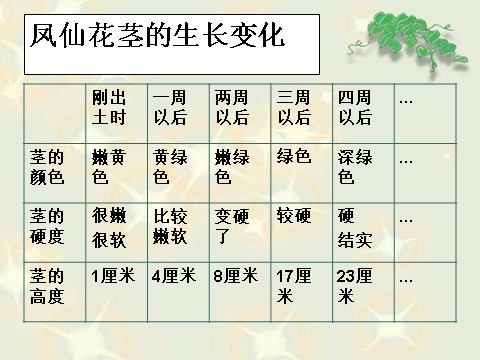 三年级下册科学（教科版）科学第一单元1.5茎越长越高ppt课件第4页