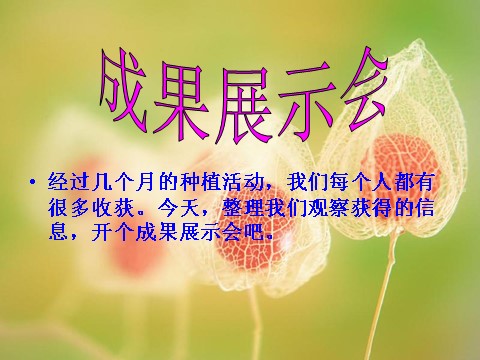 三年级下册科学（教科版）科学第一单元1.7我们的大丰收ppt课件第2页