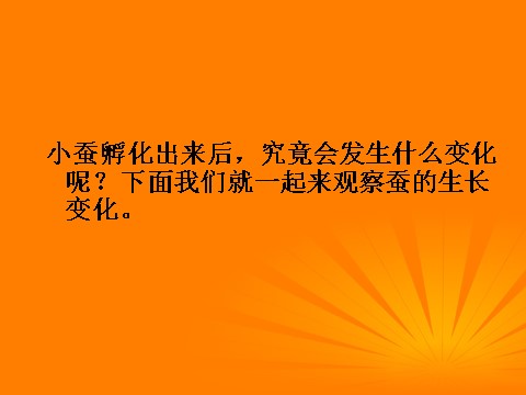 三年级下册科学（教科版）第二单元2.2蚕的生长变化ppt课件(科学)第2页