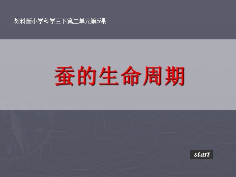 三年级下册科学（教科版）科学第二单元2.5蚕的生命周期ppt教学课件第1页