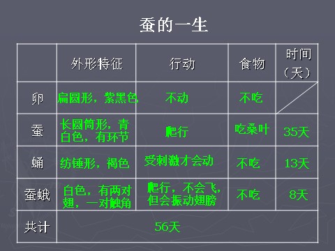 三年级下册科学（教科版）科学第二单元2.5蚕的生命周期ppt教学课件第3页