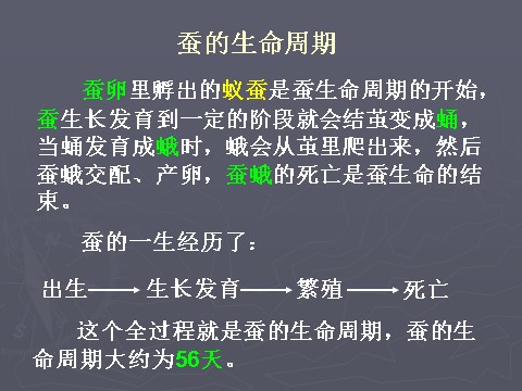 三年级下册科学（教科版）科学第二单元2.5蚕的生命周期ppt教学课件第5页