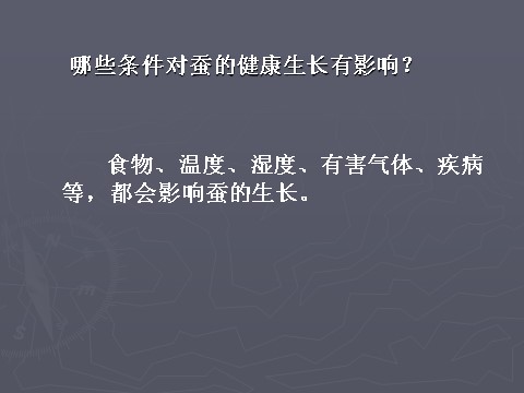 三年级下册科学（教科版）科学第二单元2.5蚕的生命周期ppt教学课件第6页