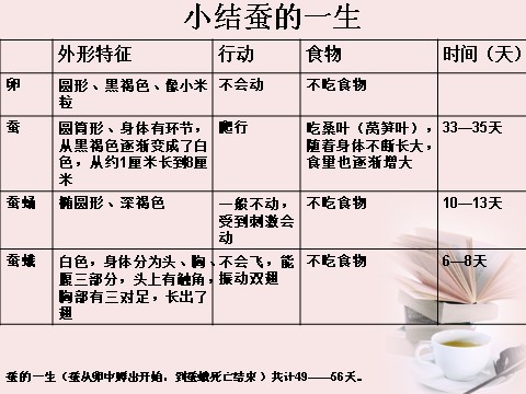 三年级下册科学（教科版）科学第二单元2.5蚕的生命周期ppt课件（）第5页