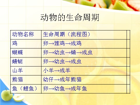 三年级下册科学（教科版）科学2.6其他动物的生命周期ppt课件第6页