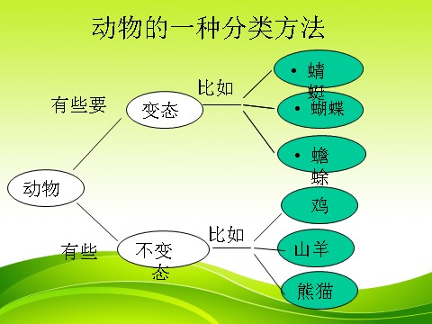 三年级下册科学（教科版）2.6其他动物的生命周期ppt课件(科学)第10页