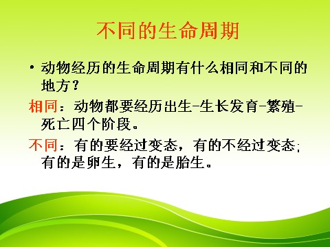 三年级下册科学（教科版）2.6其他动物的生命周期ppt课件(科学)第5页