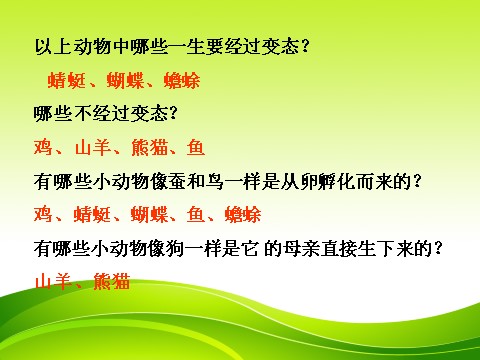 三年级下册科学（教科版）2.6其他动物的生命周期ppt课件(科学)第8页