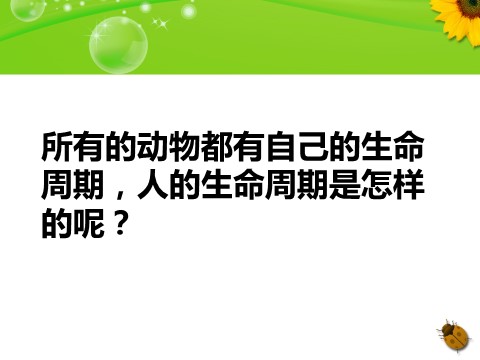 三年级下册科学（教科版）2.7我们的生命周期PPT教学课件(科学)第2页