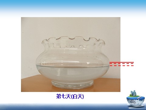 三年级下册科学（教科版）科学“温度与水的变化”3.6水和水蒸气ppt课件（）第4页