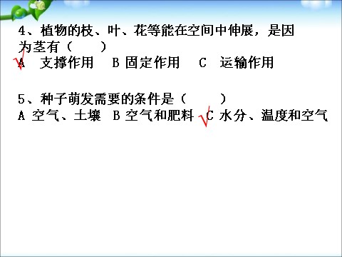 三年级下册科学（教科版）科学植物的生长变化复习ppt课件第8页