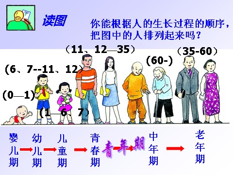 三年级下册科学（教科版）第二单元:动物的生命周期复习ppt课件第5页