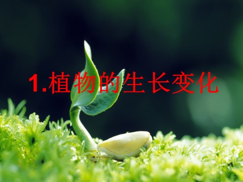 三年级下册科学（教科版）原创科学植物的生长变化复习ppt课件第1页