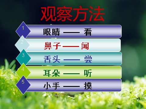 三年级下册科学（教科版）原创科学植物的生长变化复习ppt课件第10页