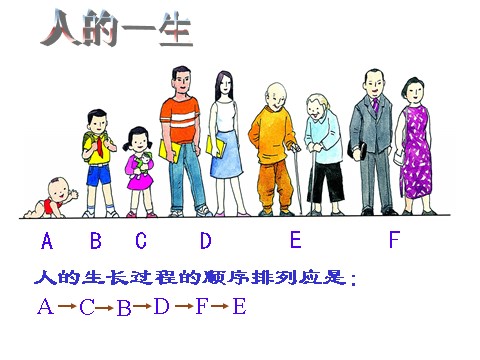 三年级下册科学（教科版）科学第二单元:动物的生命周期复习ppt课件第5页