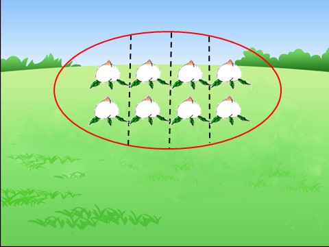 三年级下册数学（苏教版）教研课认识一个整体的几分之几ppt课件第8页