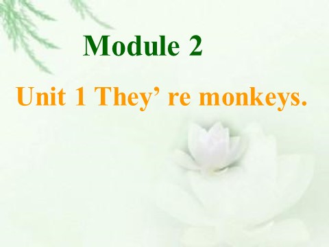 三年级下册英语（外研版三起点）教学Module2 Unit1 They're monkeysppt课件第1页