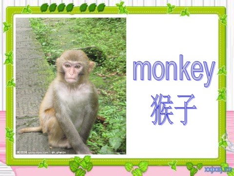 三年级下册英语（外研版三起点）教学Module2 Unit1 They're monkeysppt课件第3页