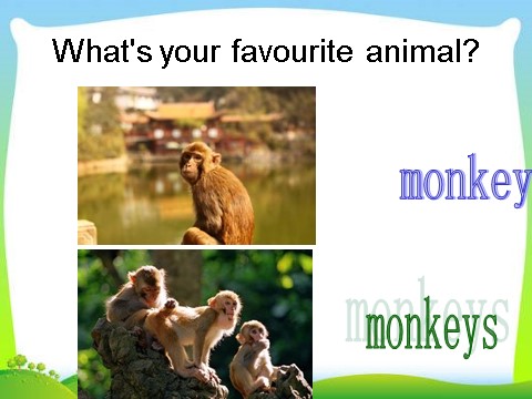 三年级下册英语（外研版三起点）教学原创Module2 Unit1 They're monkeysppt课件第5页