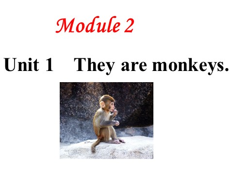 三年级下册英语（外研版三起点）三下外研版英语Module2 Unit1 They're monkeysppt课件第1页