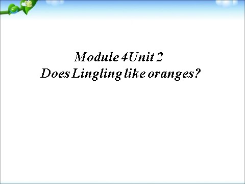 三年级下册英语（外研版三起点）Module4 Unit2 Does Lingling like orangesppt课件第4页