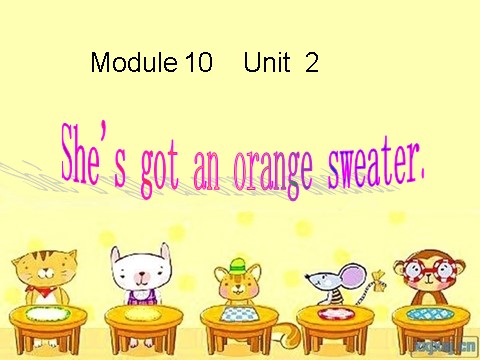 三年级下册英语（外研版三起点）Unit2 She's got an orange sweaterppt课件第1页
