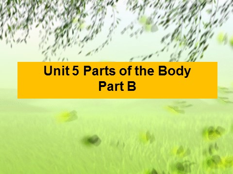三年级下册英语（闽教版）Unit5 Parts of the Body PartB课件2第1页