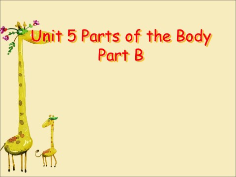 三年级下册英语（闽教版）Unit5 Parts of the Body PartB课件1第1页
